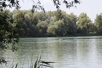 Tapfheim-Naherholungsgebiet Bruckwörth 1