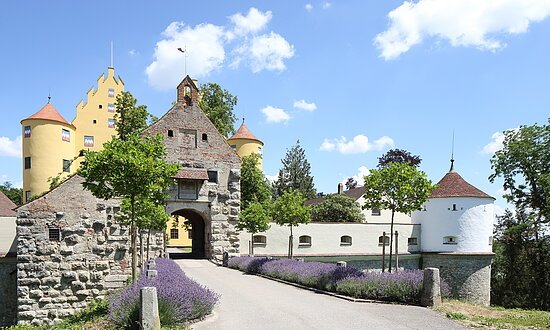 Erbach-Schloss1-Donau-Sehenswürdigkeit-ConnéVanD'Grachten