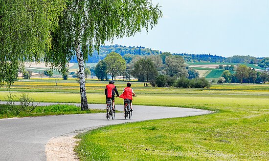 Ehingen-Radfahrer-Donau-Fahrrad-RegionaleFotobank Auf dem Weg nach Rottenacker - Mai 2017 - Emerkingen, Alb-Donau-Kreis.