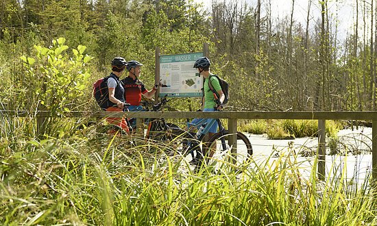 BadSaulgau-Radfahrer-Donau-Fahrrad-OberschwabenTourismusGmbHFrankMüller