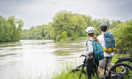 Marxheim/Bruck-Radfahrer-Donau-Fahrrad-DietmarDenger Radfahrer am Lechspitz